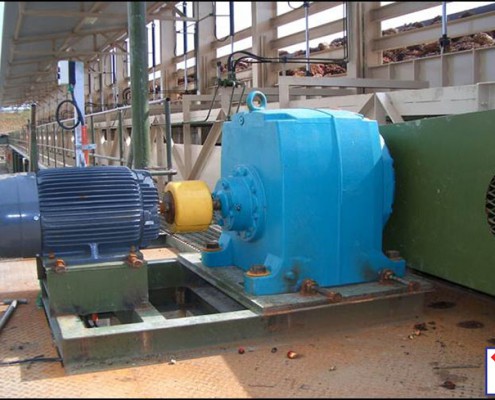 Bunch Receiption Station - Fresh Fruit Bunch Conveyor